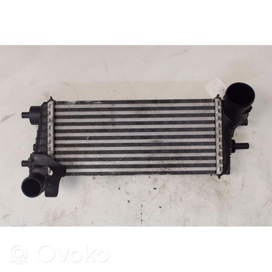 Ford Focus Radiatore intercooler 