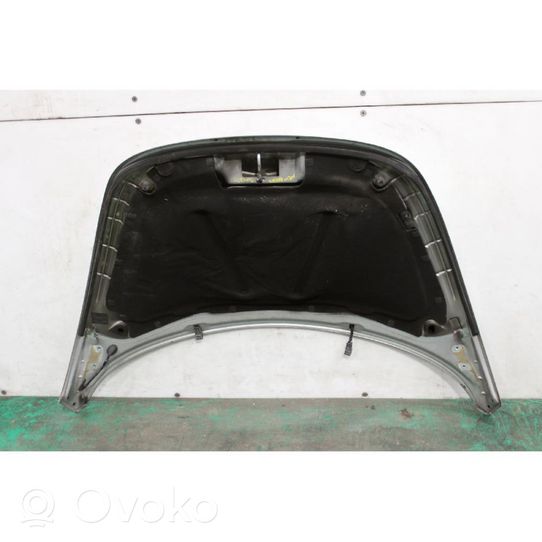 Volkswagen New Beetle Engine bonnet/hood 