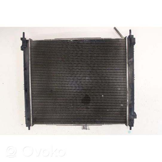 Nissan Juke I F15 Radiateur de chauffage 