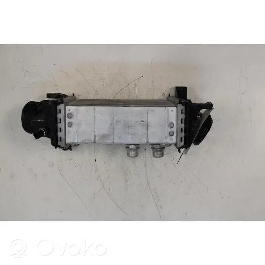 Fiat Ducato Chłodnica powietrza doładowującego / Intercooler 