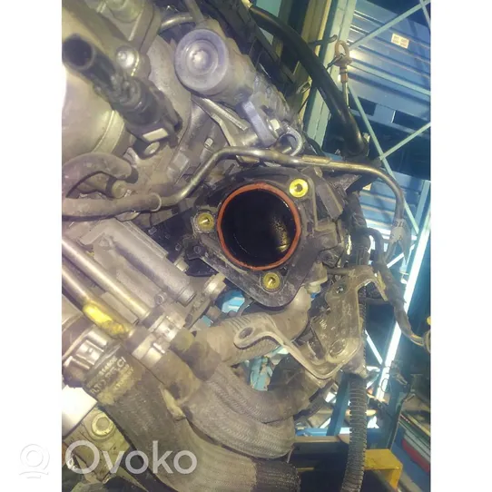 Fiat Qubo Silnik / Komplet 55283775