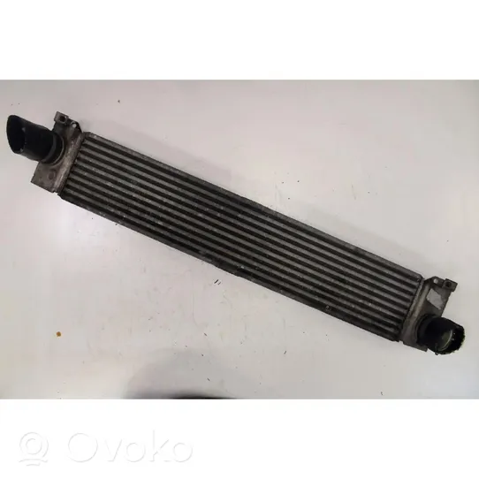 Fiat Ducato Radiatore intercooler 