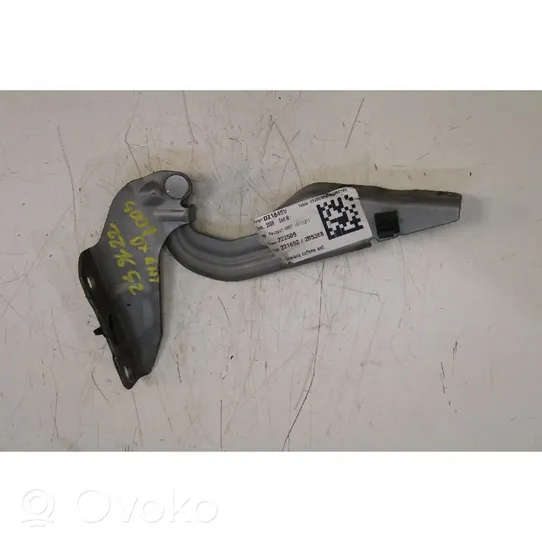 Peugeot 4007 Engine bonnet/hood hinges 