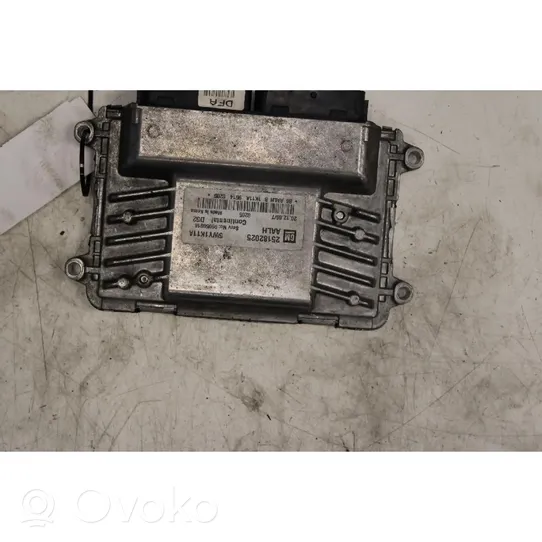 Chevrolet Spark Fuel injection control unit/module 