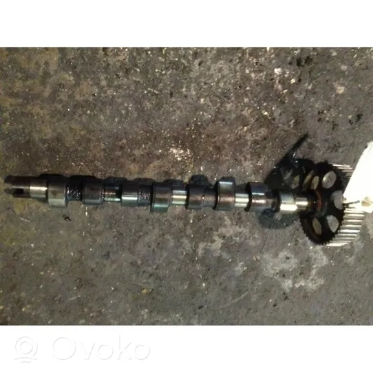 Fiat Doblo Camshaft 