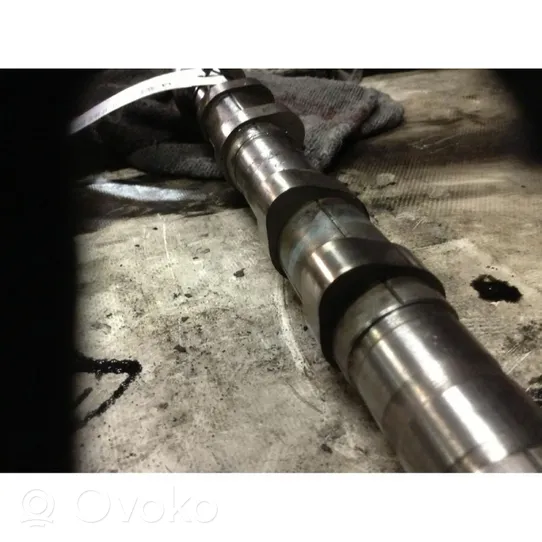 Hyundai Terracan Camshaft 