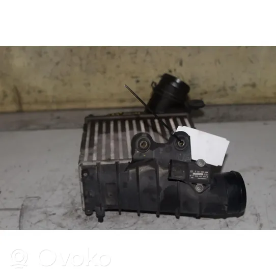 Volkswagen Bora Radiatore intercooler 