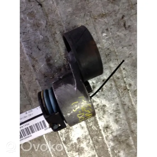 Renault Megane II Generator/alternator belt tensioner 