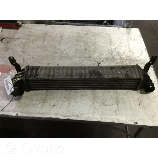 Seat Alhambra (Mk1) Radiatore intercooler 