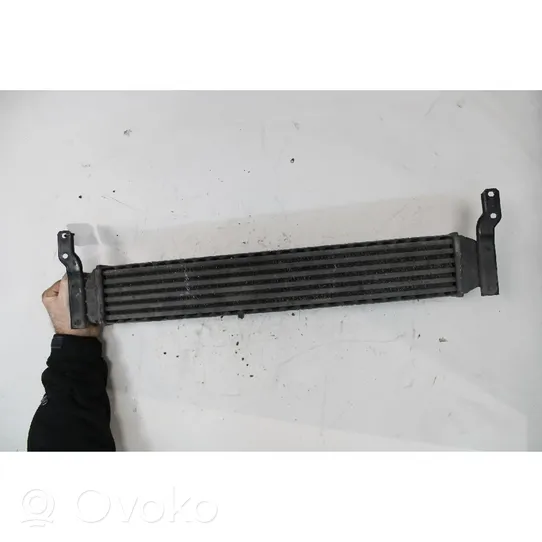 Seat Alhambra (Mk1) Radiatore intercooler 