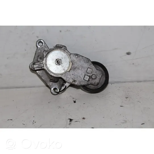 Ford Fiesta Generator/alternator belt tensioner 