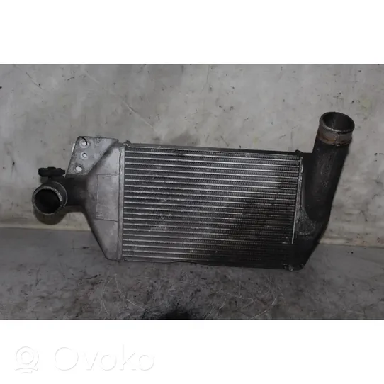 Tata Safari Chłodnica powietrza doładowującego / Intercooler 