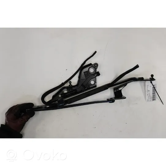 Volkswagen Eos Engine bonnet/hood hinges 