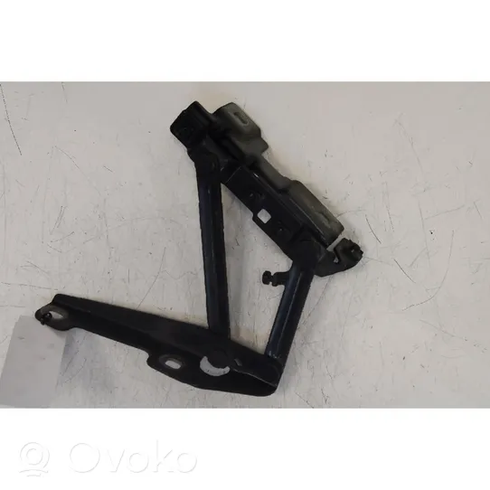 Opel Insignia A Engine bonnet/hood hinges 