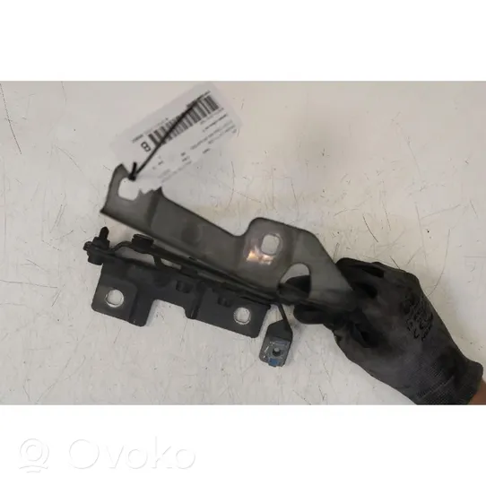 Opel Insignia A Engine bonnet/hood hinges 