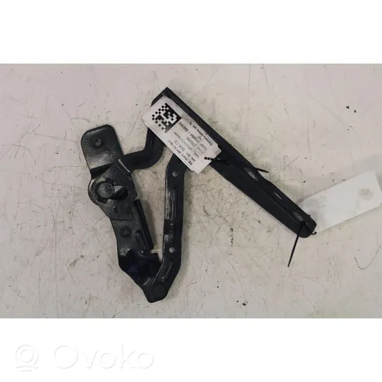 Ford C-MAX II Engine bonnet/hood hinges 