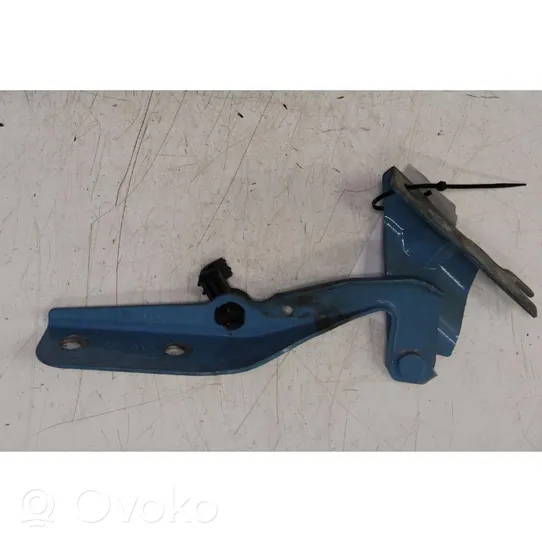 Volkswagen Up Engine bonnet/hood hinges 