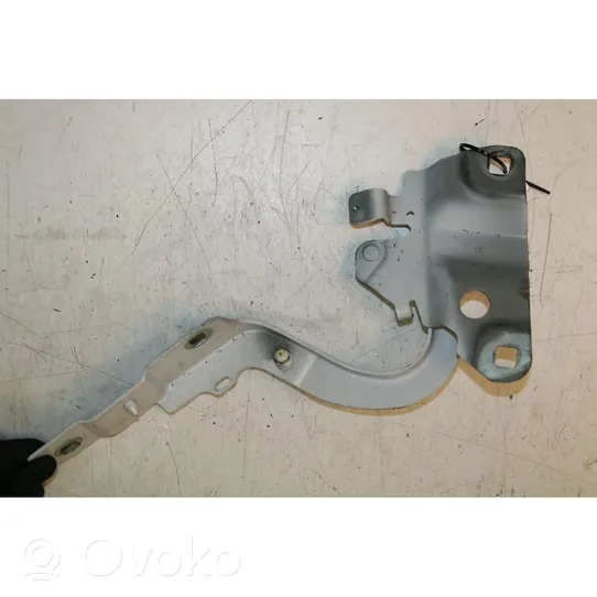 Renault Zoe Engine bonnet/hood hinges 