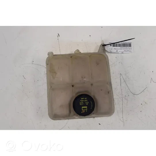 Ford Transit -  Tourneo Connect Coolant expansion tank/reservoir 