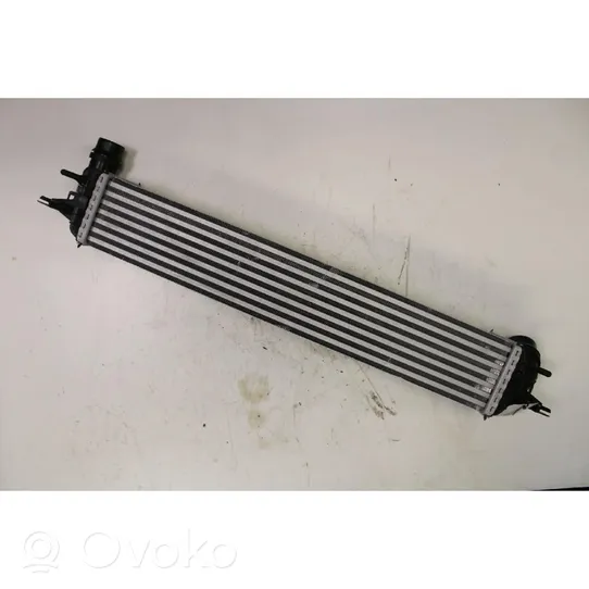 Renault Laguna III Chłodnica powietrza doładowującego / Intercooler 