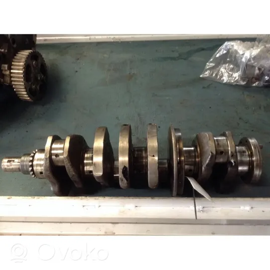 Citroen Jumper Crankshaft 