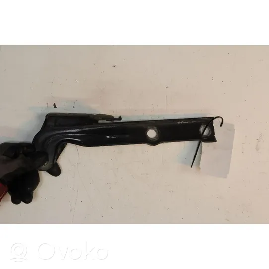 Volkswagen Tiguan Engine bonnet/hood hinges 