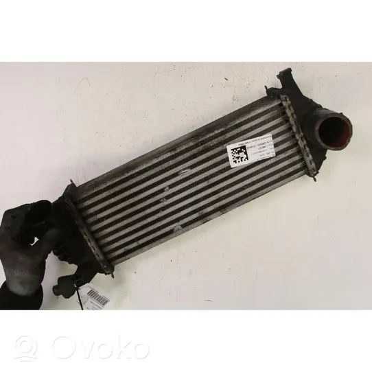 Renault Kangoo II Chłodnica powietrza doładowującego / Intercooler 