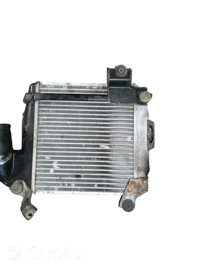 Mitsubishi Pajero Chłodnica powietrza doładowującego / Intercooler 