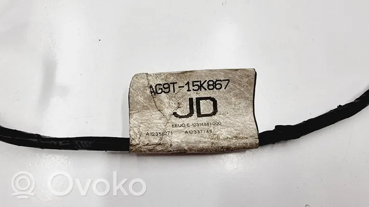 Ford Galaxy Parking sensor (PDC) wiring loom AG9T-15K867-JD