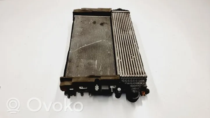 Ford Edge II Kit Radiateur 