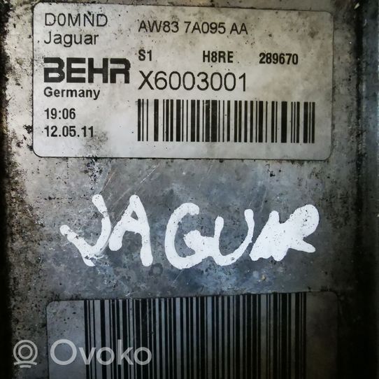 Jaguar XJ X351 Radiatore dell’olio trasmissione/cambio AW837A095AA