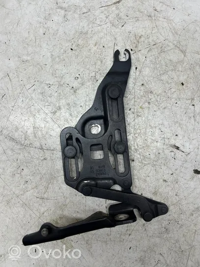 BMW X5 E70 Cerniere del vano motore/cofano 7148847