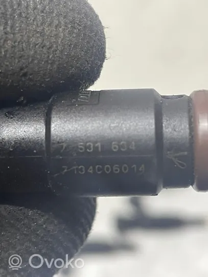 BMW X5 E70 Fuel injector 7531634