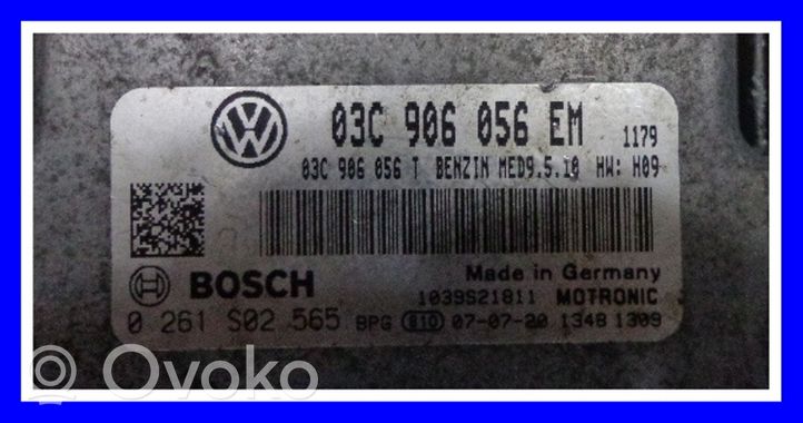 Volkswagen Golf V Centralina/modulo del motore 03C906056EM