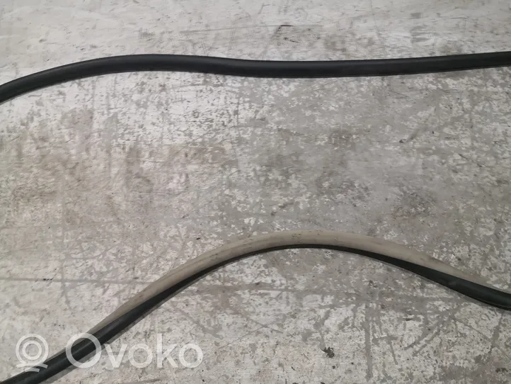 Volkswagen New Beetle Front door rubber seal 1C0867365