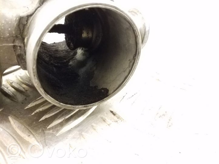 BMW 5 E39 EGR vožtuvas 72813800