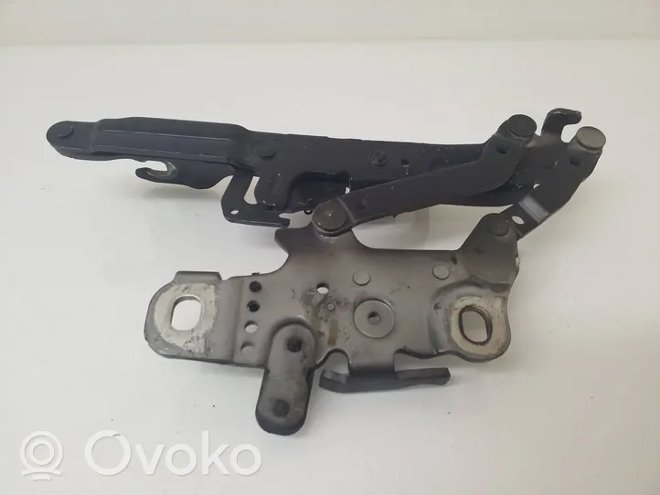 BMW 1 F20 F21 Cerniere del vano motore/cofano 1H057455361