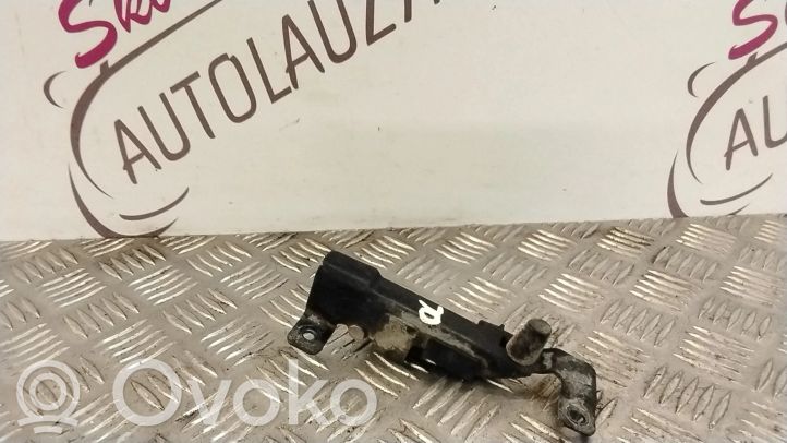 Charnière / Tirant D'arrêt De Porte Avant Pour Renault Mégane 3 (MK3) - Référence 824310007R