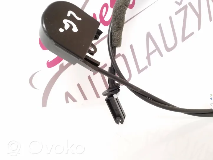 Audi A4 S4 B9 Kabel / uchwyt tylnego siedzenia 8W9885681