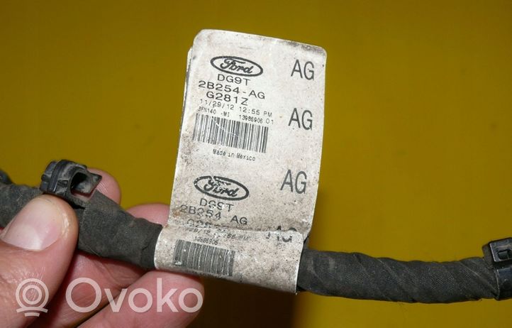 Ford Fusion II Cablaggio per freni DG9T2B254AG