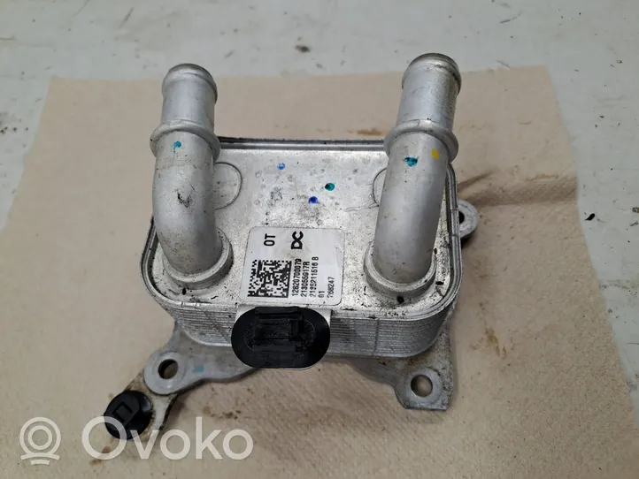 Dacia Sandero III Radiatore dell’olio del motore 213055917R