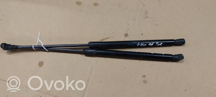 Volkswagen Polo IV 9N3 Front bonnet/hood damper/strut 4839QB