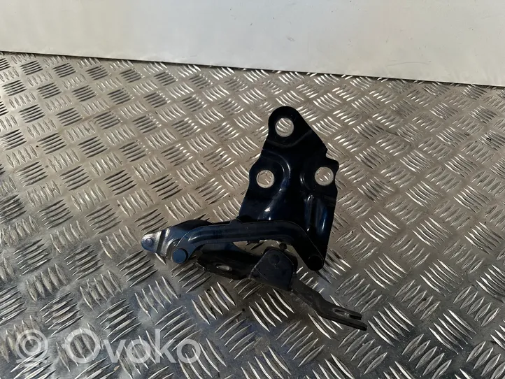 BMW X3 F25 Cerniere del vano motore/cofano 7210730