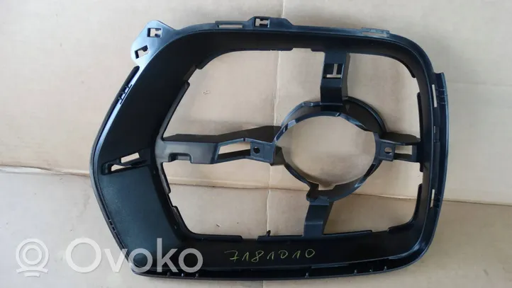 BMW X5 E70 Front bumper lower grill 7181010