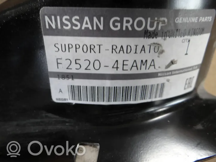 Nissan Qashqai Fixation de radiateur F25204EAMA