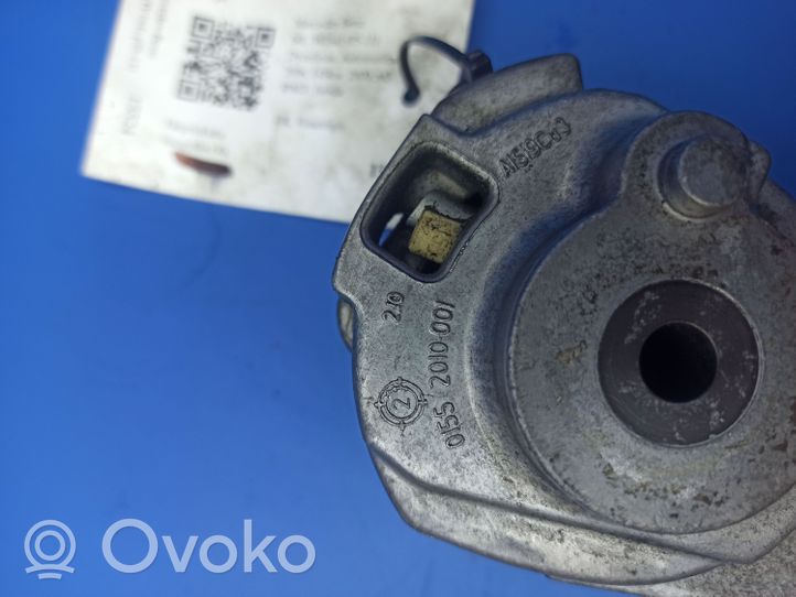 Mercedes-Benz ML W164 Napinacz paska wielorowkowego / Alternatora 950154