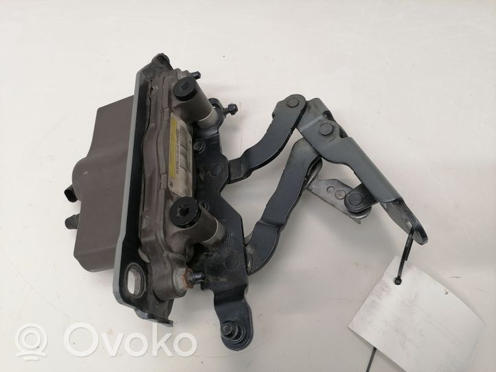 Mercedes-Benz E W212 Cerniere del vano motore/cofano A2129066301