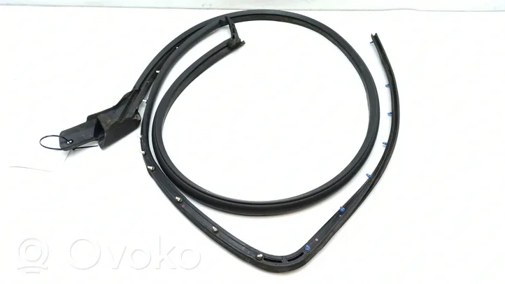 Cadillac SRX Front door rubber seal 