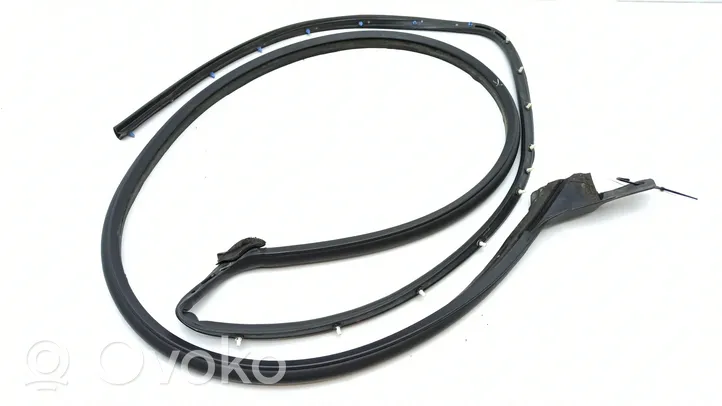 Cadillac SRX Front door rubber seal 