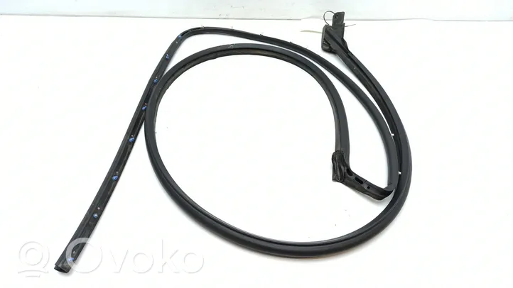 Cadillac SRX Front door rubber seal 